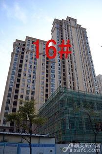 正东中央公馆新闻爆料视频  第3张